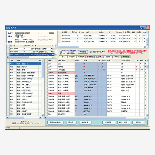 Result Input Screen